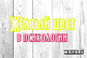 Сиреневый цвет в психологии означает для женщины интерьер